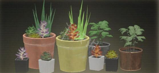 《緋紅結繫》禮物位置與圖鑒大全 禮物怎麽獲得？