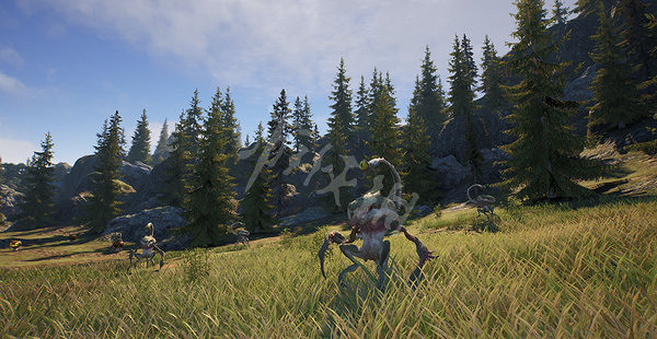 《神佑釋放》Steam公測時間分享 Steam公測是什麽時候? 《神佑釋放》Steam公測時間分享 Steam公測是什麽時候?