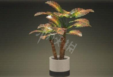 《緋紅結繫》禮物位置與圖鑒大全 禮物怎麽獲得？