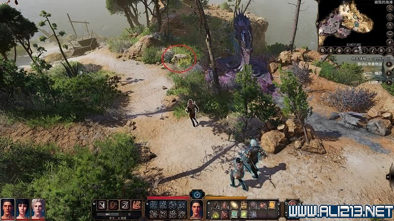 《柏德之門3》新手教學圖文詳解 全職業種族特性介紹【完結】