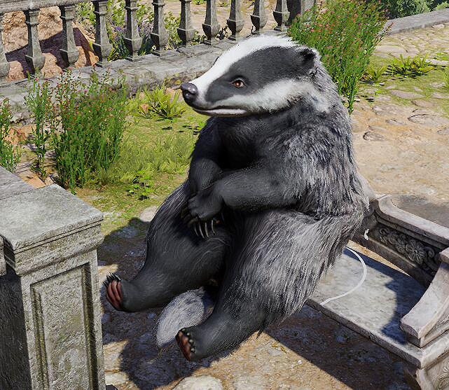 《柏德之門3》4號更新更新檔更新了什麽?4號更新更新檔更新內容一覽 《柏德之門3》4號更新更新檔更新了什麽?4號更新更新檔更新內容一覽