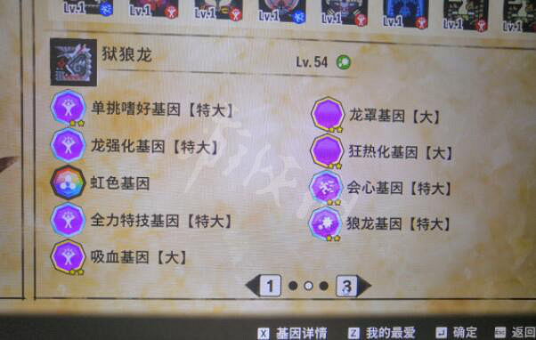 《魔物獵人物語2》狂熱化基因好用嗎？狂熱化基因體驗心得