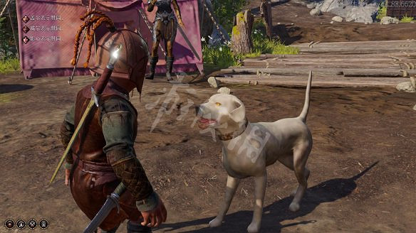 《柏德之門3》圖文攻略：主線流程+戰鬥系統+屬性加點+武器裝備+任務流程+角色介紹+種族職業