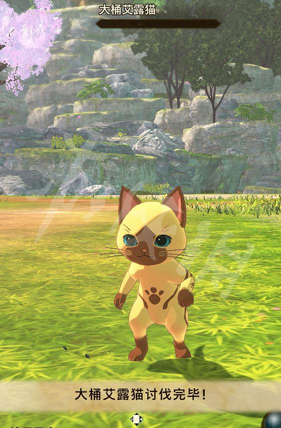 《魔物獵人物語2》木桶艾露貓在哪刷？木桶艾露貓刷等級技巧