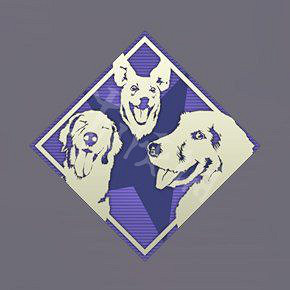 《Apex英雄》全徽章圖鑒一覽 徽章有哪些 《Apex英雄》全徽章圖鑒一覽 徽章有哪些