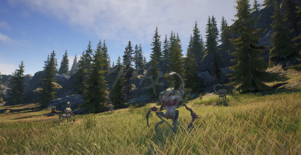 《神佑釋放》守護者新月神佑怎麽搭配技能?守護者新月神佑技能推薦 《神佑釋放》守護者新月神佑怎麽搭配技能?守護者新月神佑技能推薦