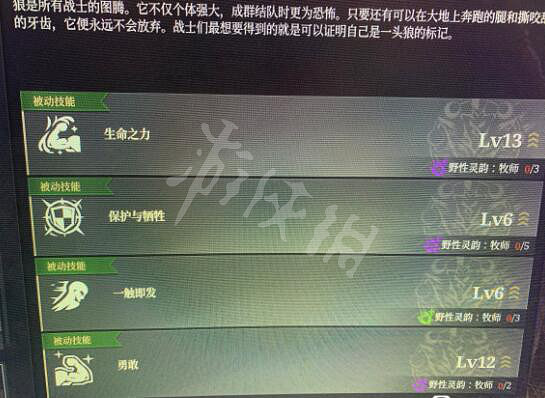 《神佑釋放》新狼牧使用心得分享 狼牧新版效果怎麽樣? 《神佑釋放》新狼牧使用心得分享 狼牧新版效果怎麽樣?