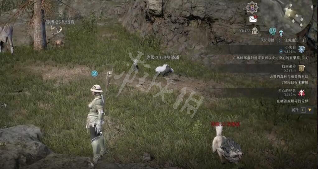 《神佑釋放》迅捷潘潘在哪獲得?迅捷潘潘位置分享 《神佑釋放》迅捷潘潘在哪獲得?迅捷潘潘位置分享