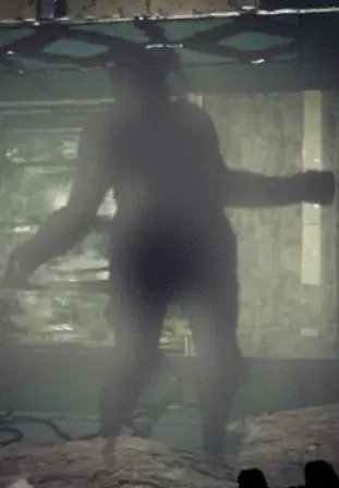 《GTFO》陰影怎麽打?特殊敵人陰影介紹 《GTFO》陰影怎麽打?特殊敵人陰影介紹