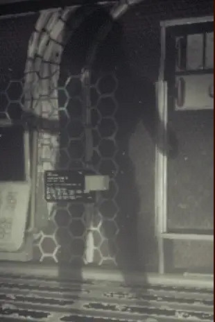 《GTFO》陰影怎麽打?特殊敵人陰影介紹 《GTFO》陰影怎麽打?特殊敵人陰影介紹