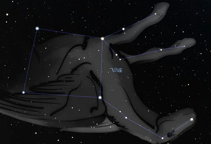 《幻塔》飛馬座怎麽連?飛馬座連接方法分享 《幻塔》飛馬座怎麽連?飛馬座連接方法分享