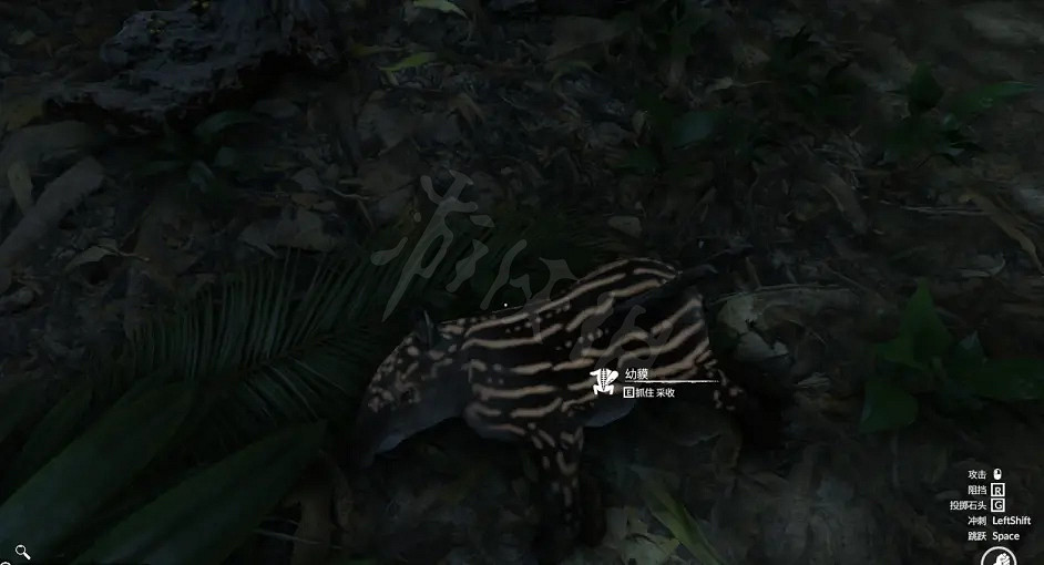 《綠色地獄》亞馬遜之魂第二章怎麽玩？第二章攻略分享