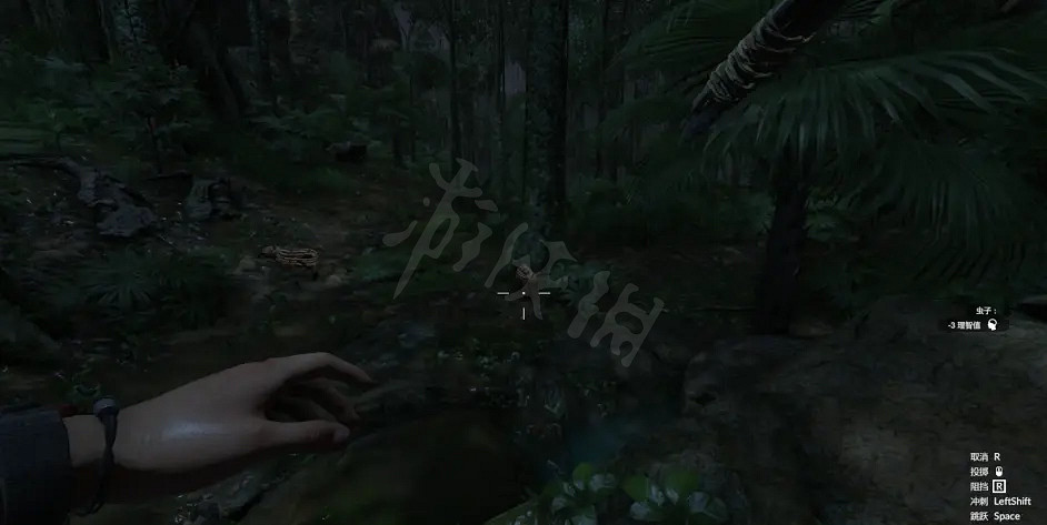 《綠色地獄》亞馬遜之魂第二章怎麽玩？第二章攻略分享