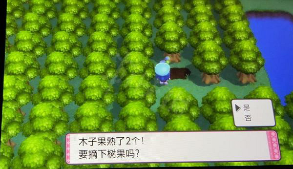 《寶可夢晶燦鑽石明亮珍珠》木子果如何獲得？木子果刷新地點分享