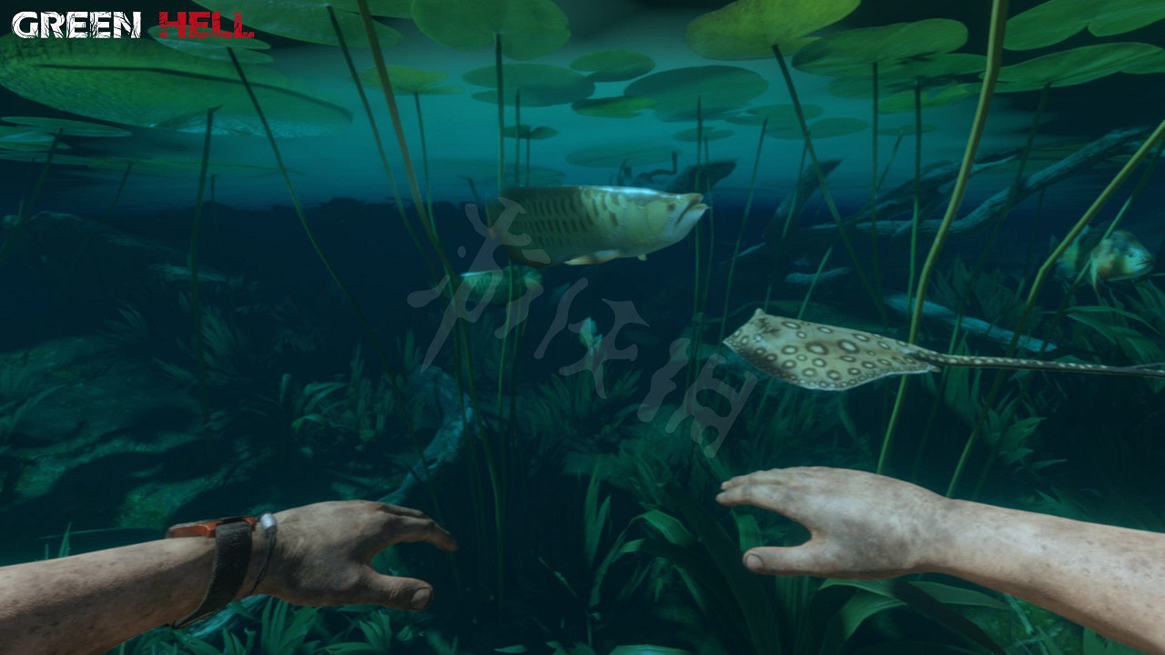 《綠色地獄》有哪些常見疾病?常見疾病處理方法分享 《綠色地獄》有哪些常見疾病?常見疾病處理方法分享