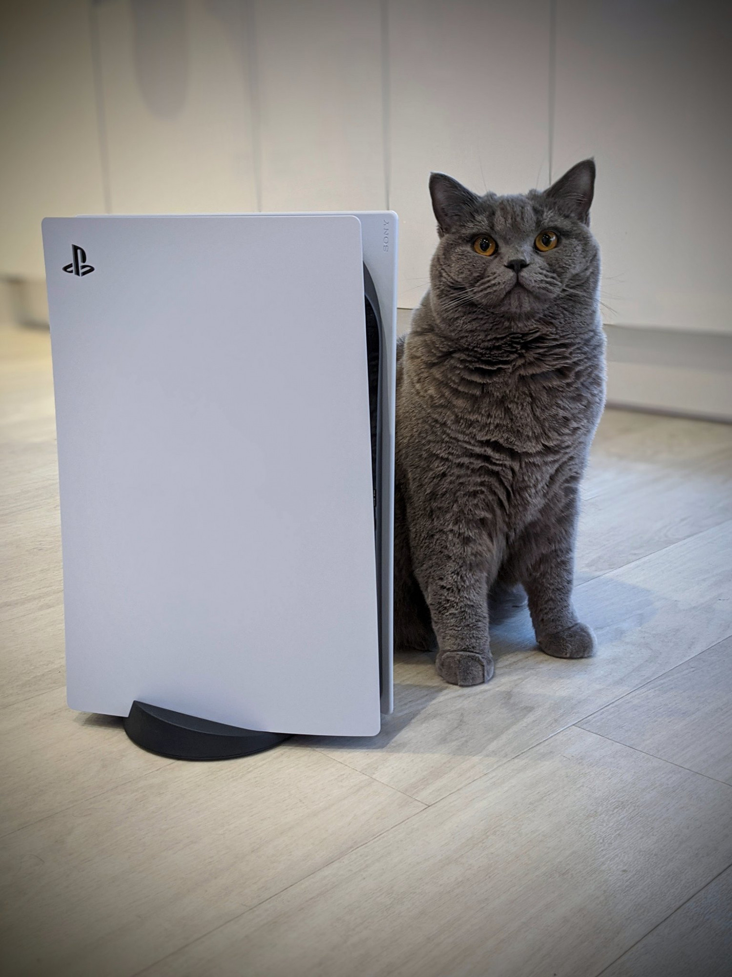 分析稱PS5今年銷量1800萬 Xbox Series 900萬 分析稱PS5今年銷量1800萬 Xbox Series 900萬