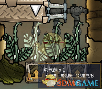 《缺氧》氧氣蕨製氧相關分享 《缺氧》氧氣蕨製氧相關分享