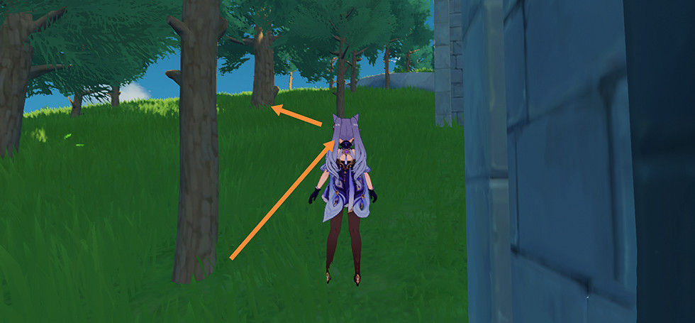 《原神》杉木哪裡多?杉木砍伐路線推薦 《原神》杉木哪裡多?杉木砍伐路線推薦