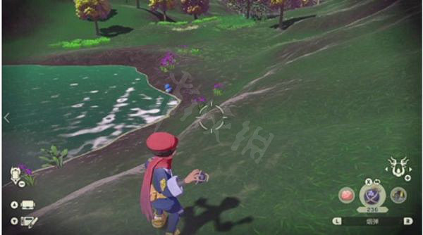 《寶可夢傳說阿爾宙斯》四代禦三家如何捕捉?四代禦三家捕捉攻略分享 《寶可夢傳說阿爾宙斯》四代禦三家如何捕捉?四代禦三家捕捉攻略分享