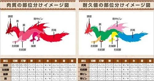 《魔物獵人崛起》泡狐龍弱點有哪些 弱點肉質詳解