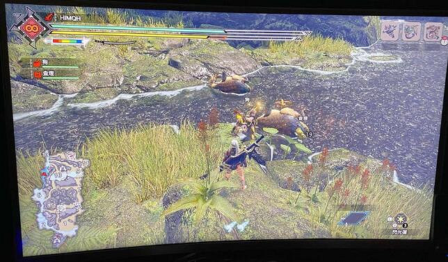 《魔物獵人崛起》丸鳥的蛋怎麽獲得？丸鳥的蛋獲得方法