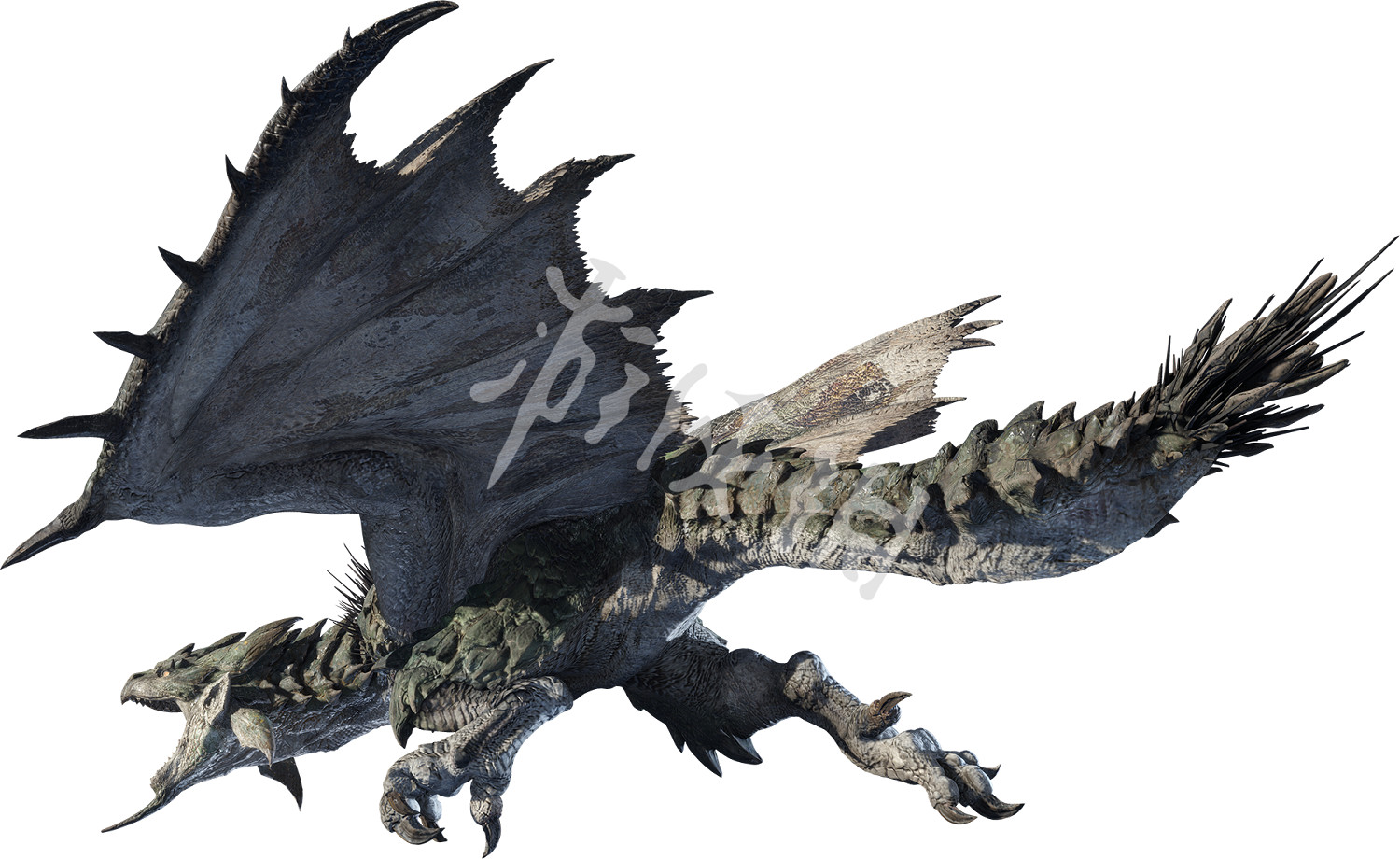 《魔物獵人崛起》雷狼龍怎麽樣?迅龍與雌火龍特點介紹 《魔物獵人崛起》雷狼龍怎麽樣?迅龍與雌火龍特點介紹