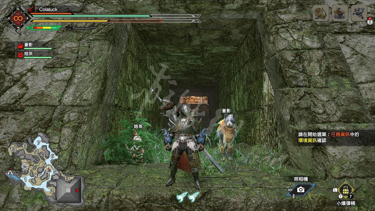 《魔物獵人崛起》眼鏡羽蛇在哪？眼鏡羽蛇位置介紹