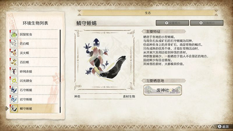 《魔物獵人崛起》環境生物匯總 遊戲環境生物有哪些 《魔物獵人崛起》環境生物匯總 遊戲環境生物有哪些