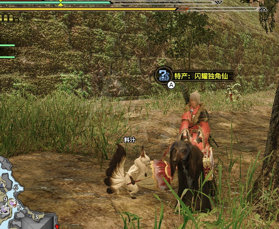 《魔物獵人崛起》王者獨角仙在哪?王者獨角仙位置分享 《魔物獵人崛起》王者獨角仙在哪?王者獨角仙位置分享