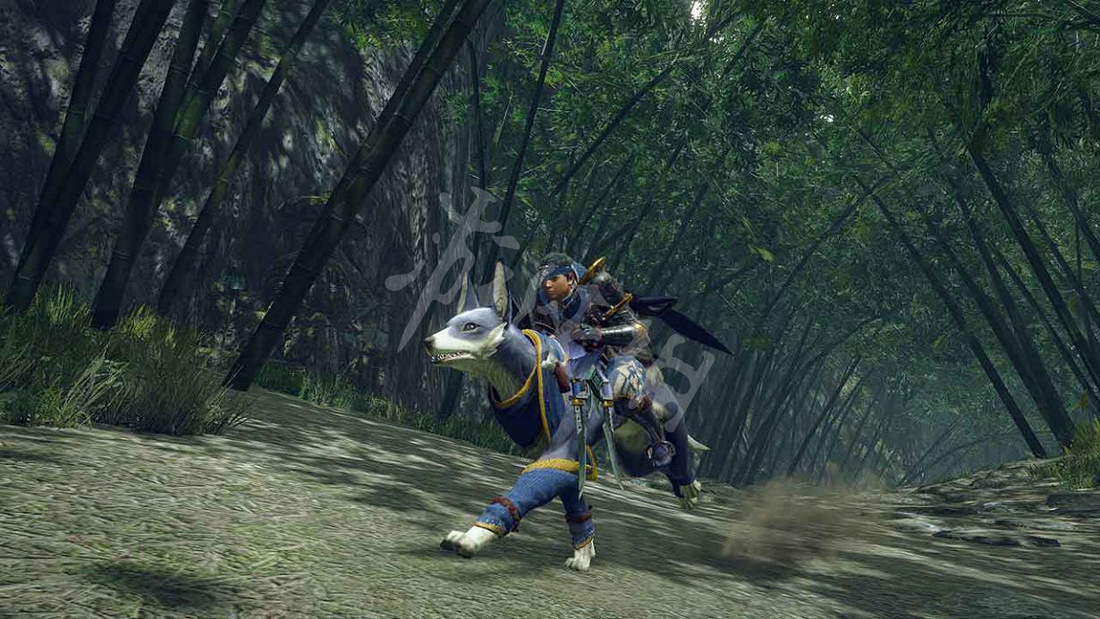 《魔物獵人崛起》雙刀怎麽開荒 雙刀開荒思路介紹 《魔物獵人崛起》雙刀怎麽開荒 雙刀開荒思路介紹