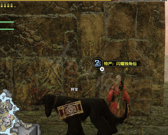 《魔物獵人崛起》王者獨角仙在哪?王者獨角仙位置分享 《魔物獵人崛起》王者獨角仙在哪?王者獨角仙位置分享