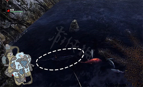 《魔物獵人崛起》旗魚去哪找 旗魚獲取地點分享 《魔物獵人崛起》旗魚去哪找 旗魚獲取地點分享