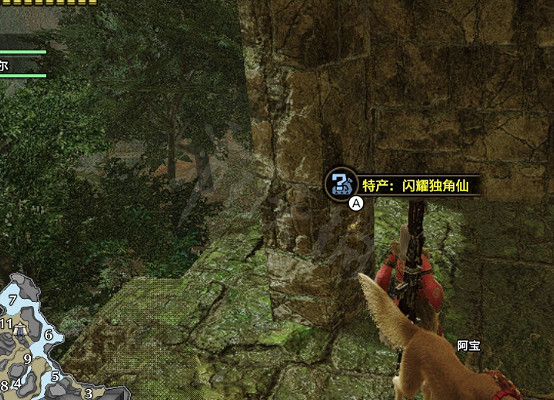 《魔物獵人崛起》王者獨角仙在哪?王者獨角仙位置分享 《魔物獵人崛起》王者獨角仙在哪?王者獨角仙位置分享