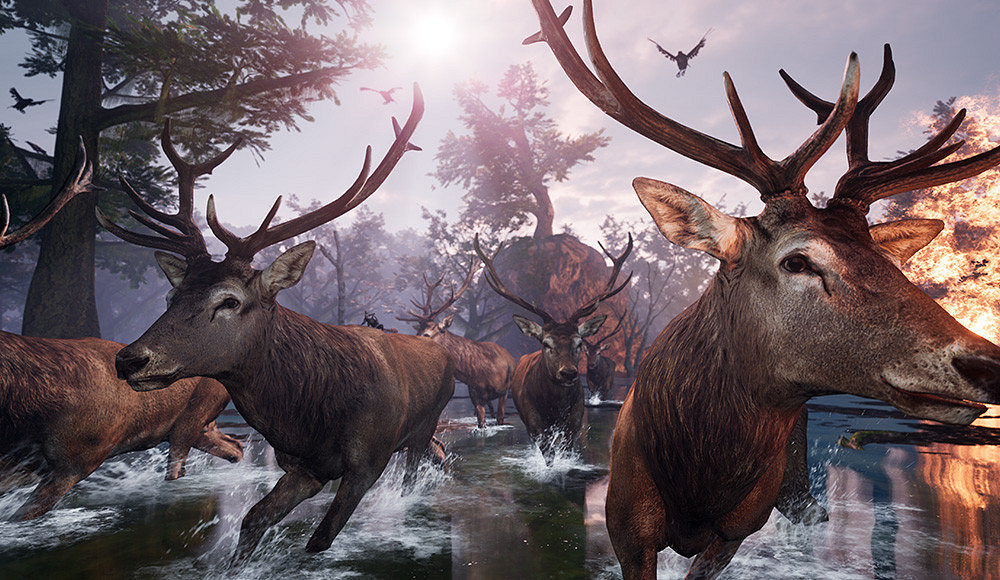 PS主機版《AWAY》官方宣傳跳票 支援中文 PS主機版《AWAY》官方宣傳跳票 支援中文