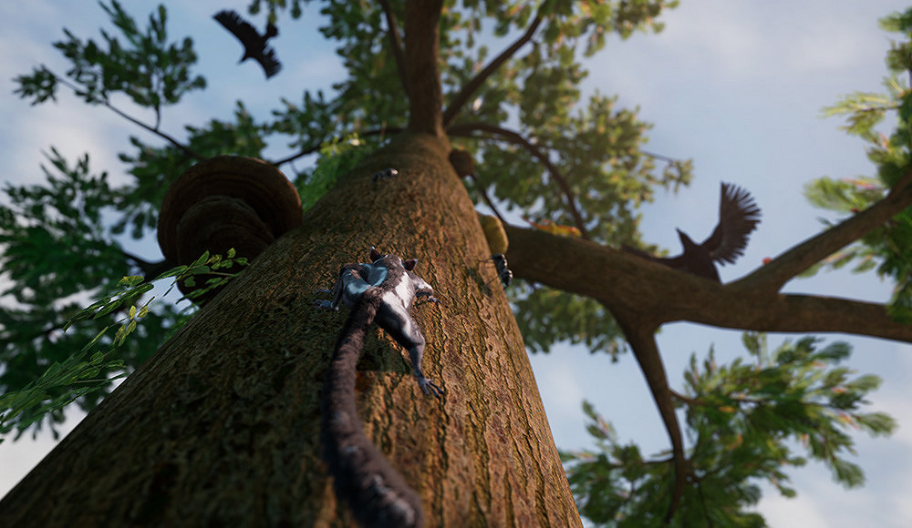 PS主機版《AWAY》官方宣傳跳票 支援中文 PS主機版《AWAY》官方宣傳跳票 支援中文