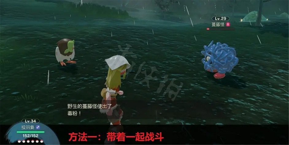 《寶可夢傳說阿爾宙斯》親密度系統是什麽?親密度系統解析 《寶可夢傳說阿爾宙斯》親密度系統是什麽?親密度系統解析