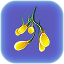 《深海迷航》直上天際成就完成方法分享 《深海迷航》直上天際成就完成方法分享