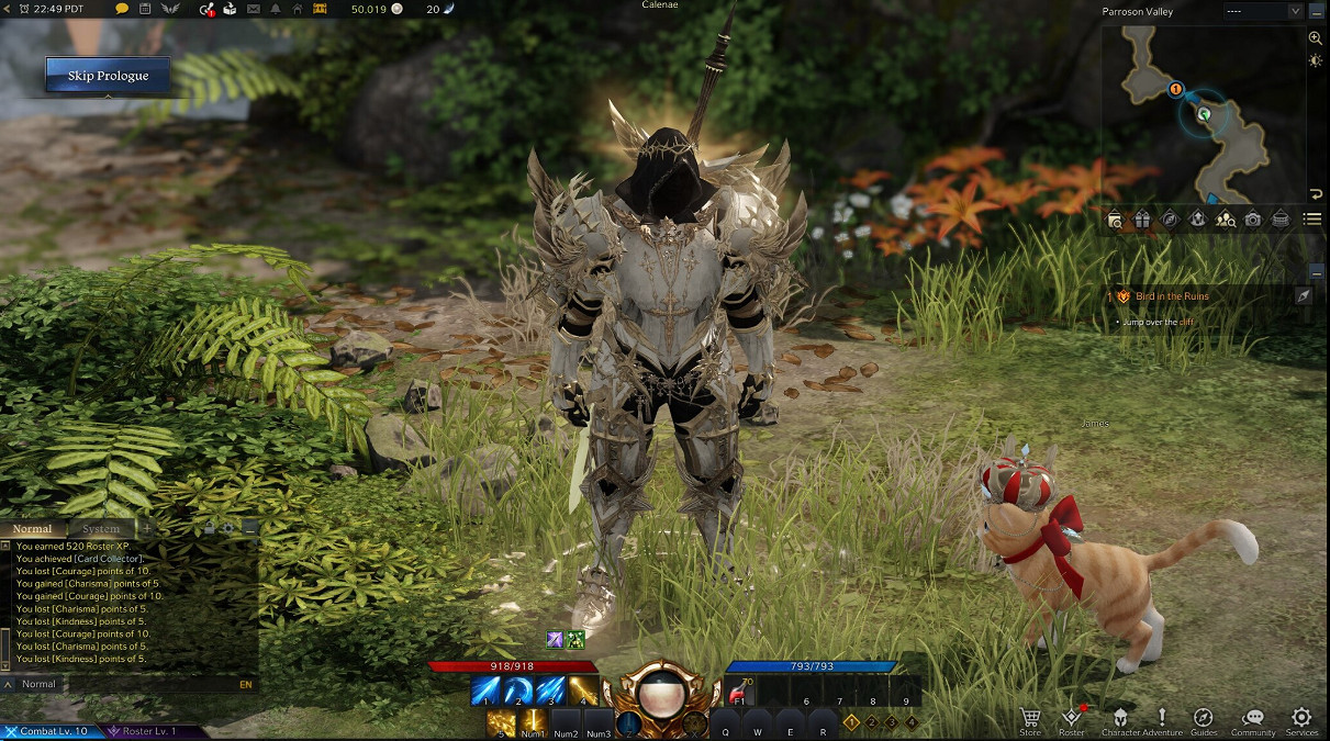 《失落的方舟》哪個伺服器好?各伺服器優劣分享 《失落的方舟》哪個伺服器好?各伺服器優劣分享