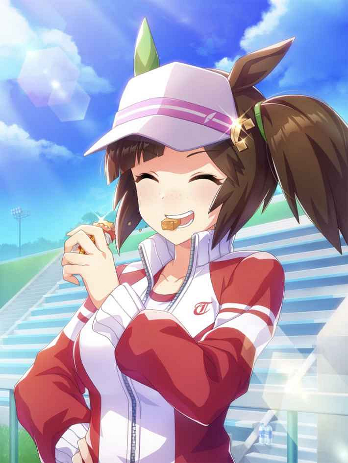 《賽馬娘手遊》艾尼斯風神支援卡事件選項 sr支援卡艾尼斯風神事件怎麽選