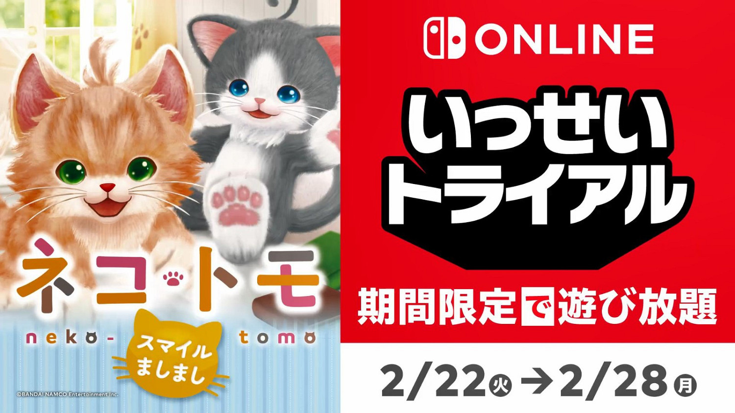 日服NSO會員免費試玩《貓咪夥伴》 2月22日開始 日服NSO會員免費試玩《貓咪夥伴》 2月22日開始