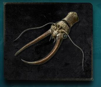 《艾爾登法環》大蜻蜓頭怎麽獲得？老頭環大蜻蜓頭獲取方法