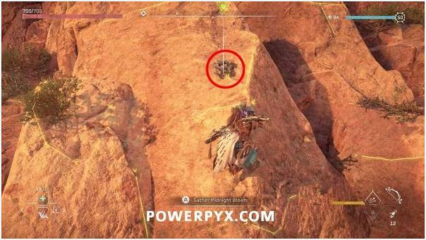 《地平線西域禁地》採花地點有哪些 遊戲內採集花位置介紹