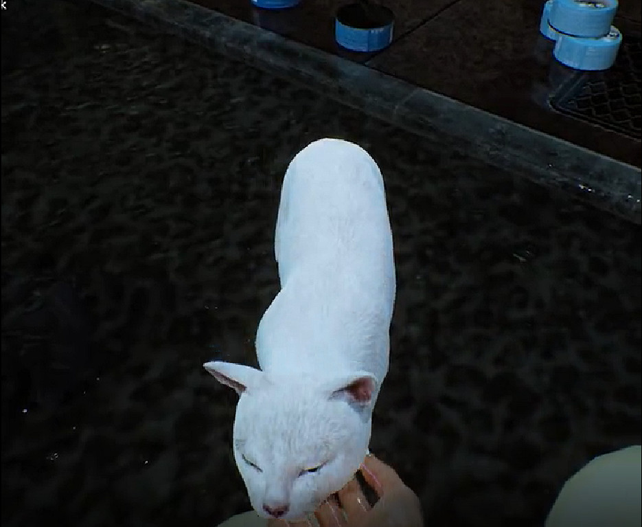 《幽靈線:東京》擼貓系統 閱讀貓的思想獲得遊戲提示 《幽靈線:東京》擼貓系統 閱讀貓的思想獲得遊戲提示