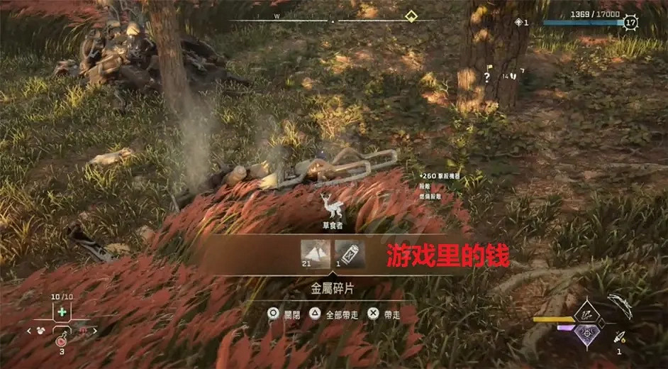 《地平線西域禁地》前中期該怎麽玩?新手入門技巧分享 《地平線西域禁地》前中期該怎麽玩?新手入門技巧分享