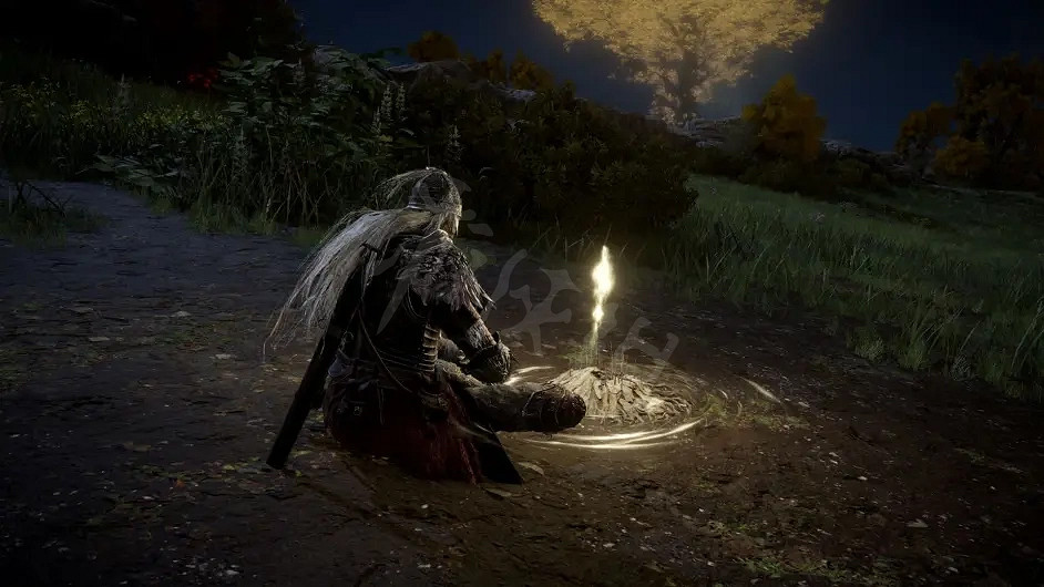 《艾爾登法環》賜福點是什麽？遊戲環境介紹