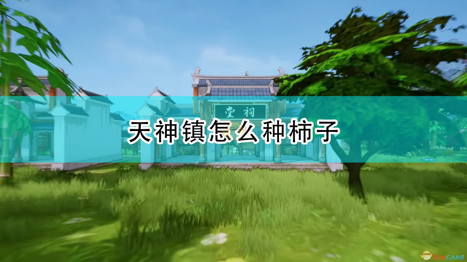 《天神鎮》柿子種植心得分享 《天神鎮》柿子種植心得分享