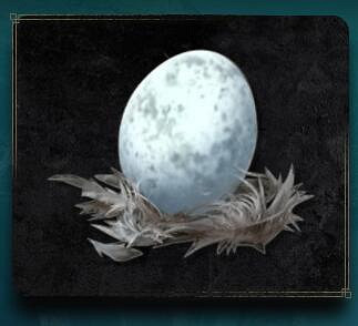 《艾爾登法環》眠卵怎麽獲得 眠卵獲得方法 《艾爾登法環》眠卵怎麽獲得 眠卵獲得方法