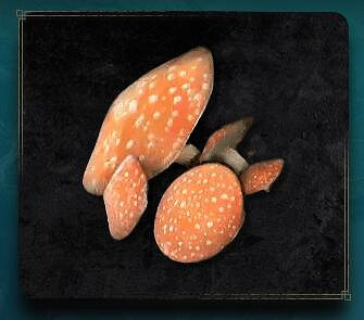 《艾爾登法環》蘑菇怎麽獲得 蘑菇獲得方法 《艾爾登法環》蘑菇怎麽獲得 蘑菇獲得方法