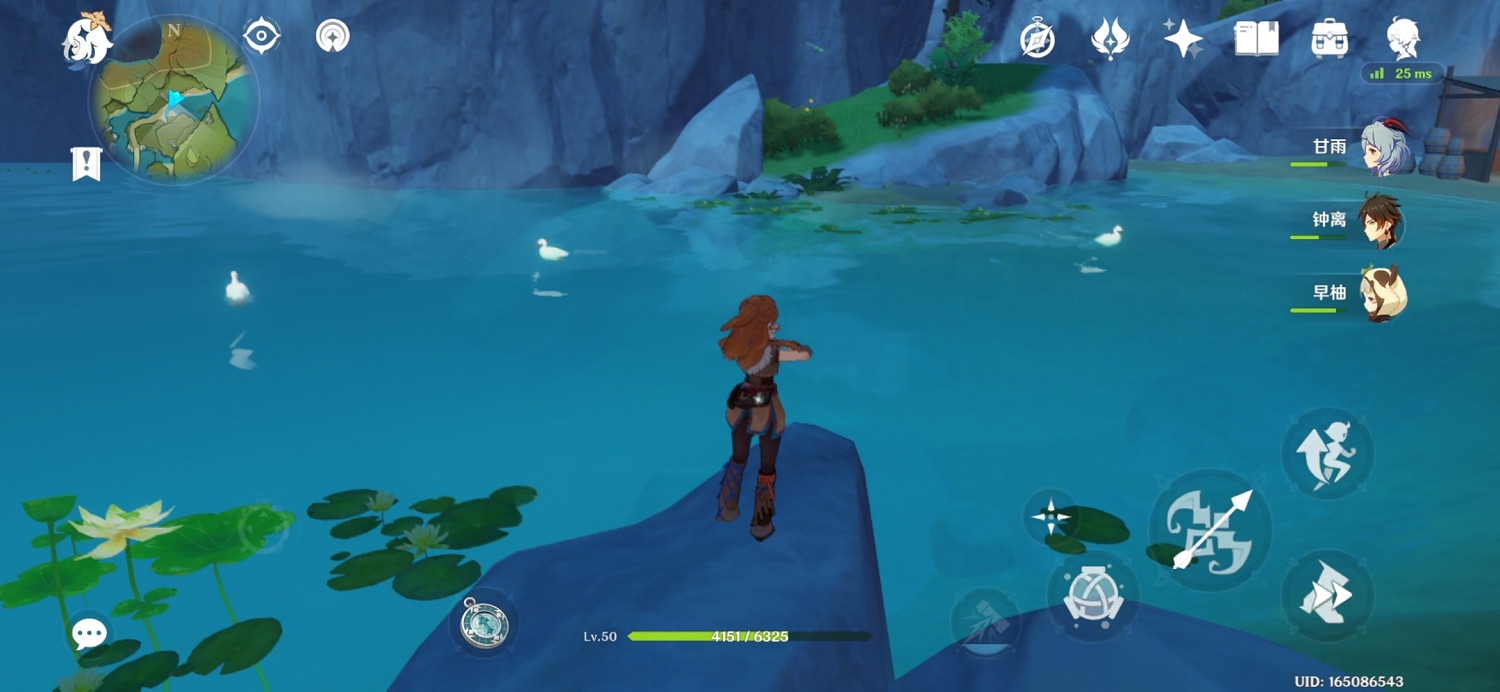 《原神》鴨子哪裡多？鴨子位置分享