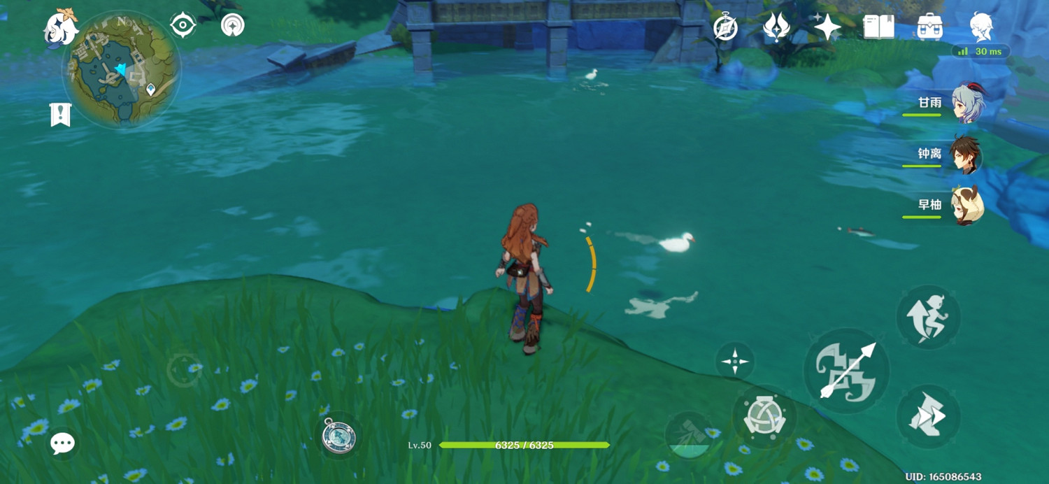 《原神》鴨子哪裡多？鴨子位置分享